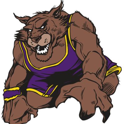 AR WILDCAT 23 RC Thumbnail