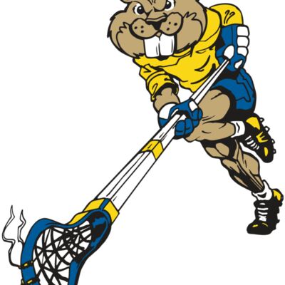 AR8 BEAVER 02 RQC Thumbnail