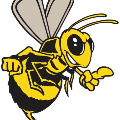 AR BEE 20 RC Thumbnail