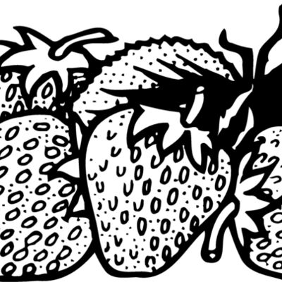 FRUIT038 Thumbnail