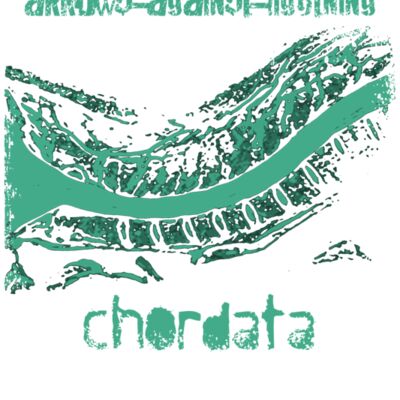 Chordata Thumbnail
